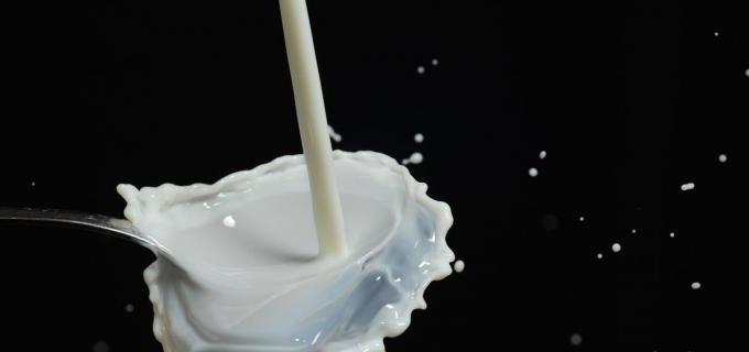 La leche es un alimento importante, pero que se debe acoplar muy bien a una dieta balanceada y variada.