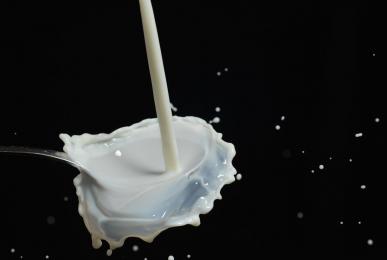 La leche es un alimento importante, pero que se debe acoplar muy bien a una dieta balanceada y variada.